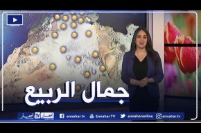 أجواء ربيعية على أغلب الولايات.. طقس نهار اليوم الخميس 25 مارس 2021