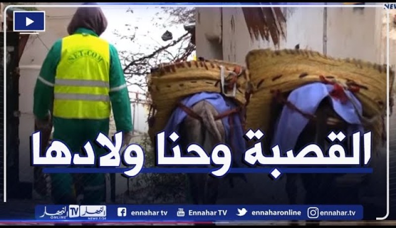 تنظيف حي القصبة بالطريقة التقليدية.. مهنة تتوارثها الأجيال