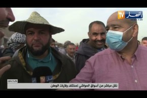 أسعار المواشي..بين مؤيد ومعارض والموال “يشكي” من غلاء الأعلاف