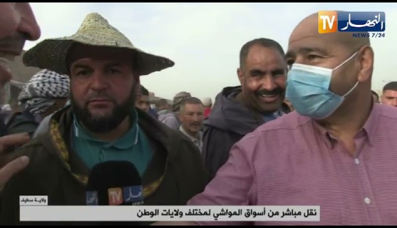 أسعار المواشي..بين مؤيد ومعارض والموال “يشكي” من غلاء الأعلاف