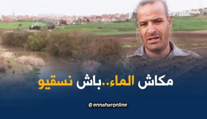 قالمة: فلاحو الطماطم الصناعية متخوفون من موسم فلاحي أبيض