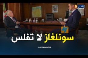 مصطفى قيتوني: سونلغاز في حالة جيدة و لن تفلس مثلما يقول البعض