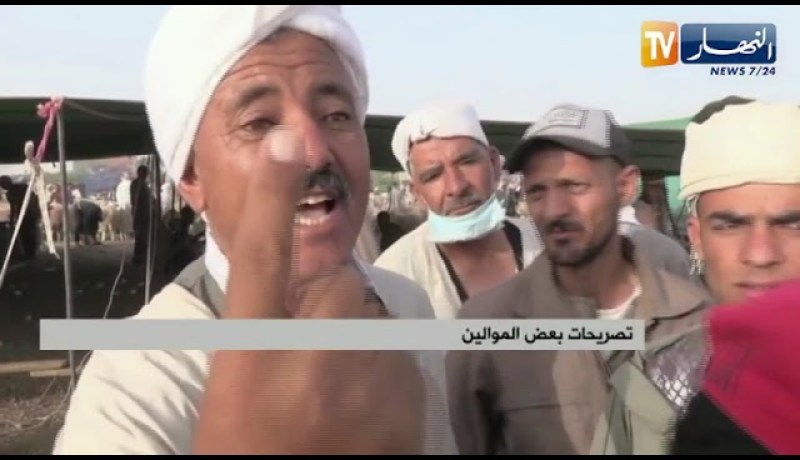 موالون … غلاء الأعلاف سبب إرتفاع أسعار الأضاحي