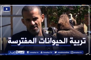 عائلة طاطاي تحول منزلها لحديقة ترويض حيوانات مفترسة