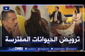 هكذا تقوم عائلة طاطاي بترويض الحيوانات المفترسة