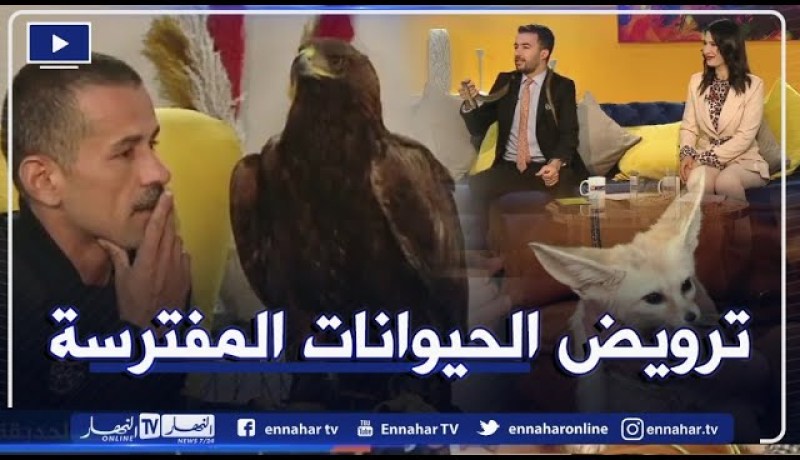 هكذا تقوم عائلة طاطاي بترويض الحيوانات المفترسة