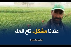 باتنة: مئات الهكتارات المنتجة للثوم مهددة بالجفاف بسبب قلة مياه السقي الفلاحي