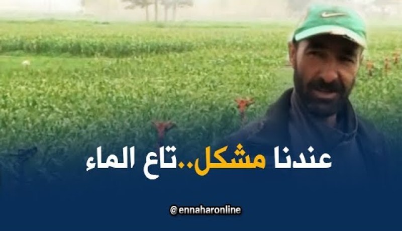 باتنة: مئات الهكتارات المنتجة للثوم مهددة بالجفاف بسبب قلة مياه السقي الفلاحي