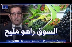 وزير الفلاحة: سنحـ ارب المضاربين والقائمين على الإشاعة..وأسعار المواد مقبولة في السوق