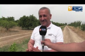 البليدة: موسم فلاحي كارثي والجفاف يهدد بساتين متيجة