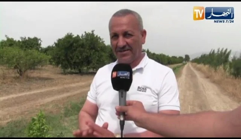 البليدة: موسم فلاحي كارثي والجفاف يهدد بساتين متيجة