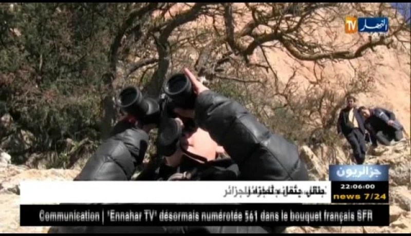 جزائريون: تسلق الجبال.. هواية تتحدى مخاطر المرتفعات والمنحدرات