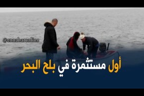 مستغانم/ أول مستثمرة في بلح البحر بقدرة إنتاجية تفوق 150 طن سنويا