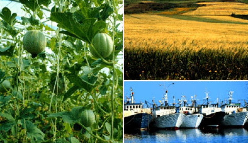 إعداد مشروع قانون للأمن الغذائي لأول مرة في الهند