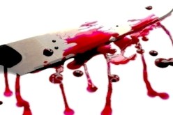 يبقر بطن‮ ‬غريمه ببوشية بسبب حمار بسيدي‮ ‬السنوسي‮ ‬في‮ ‬تلمسان