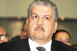 سلال ومشوي القطط