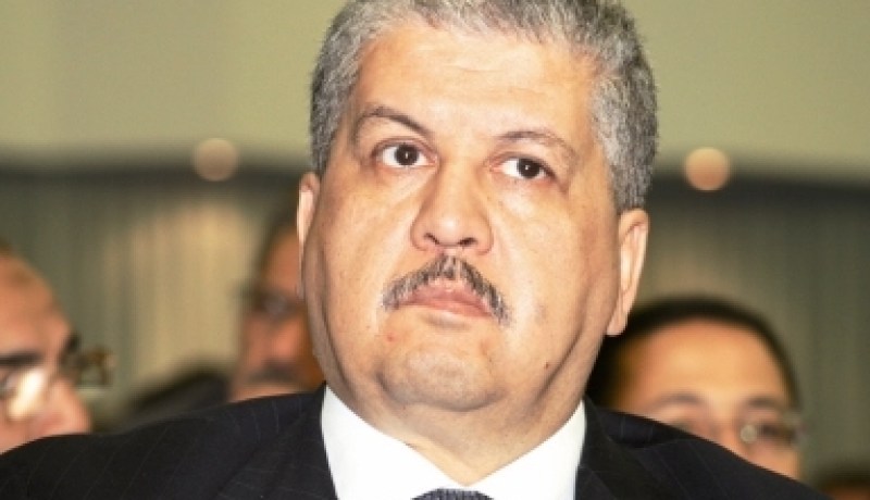 سلال ومشوي القطط