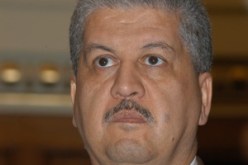 ''سيال'' تطمح إلى البقاء..بعد انتهاء العقد