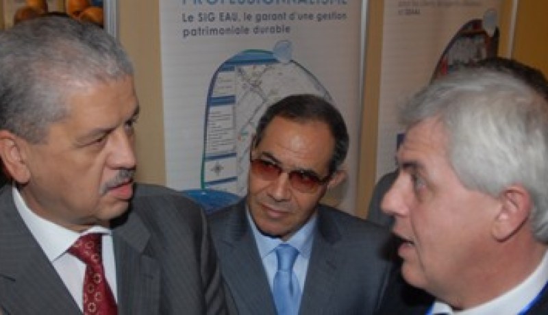 سلال ''هبّل'' سيال