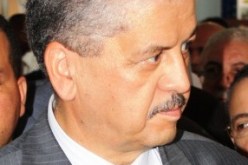 سلال ولحم الحلال
