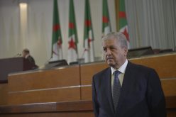 سلال في ضيافـة الشاويـة