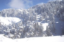 توقيف إرهابيين مصابين بمرتفعات الشرفة شمال سطيف‮ ‬