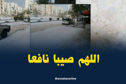 بالفيديو والصور.. سطيف تتزين بالأبيض في الثامن ماي  