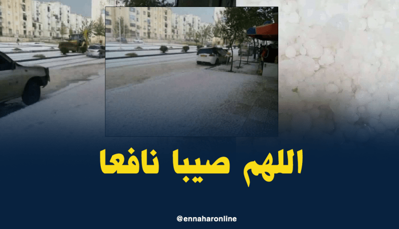 بالفيديو والصور.. سطيف تتزين بالأبيض في الثامن ماي  