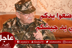 قايد صالح :”على الشعب أن يتحلى باليقظة ويضع يده في يد جيشه ولا يسمح للعصابة التسلل”