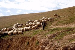 جماعة ارهابية تقتل راعيي غنم ذبحا في بلعباس