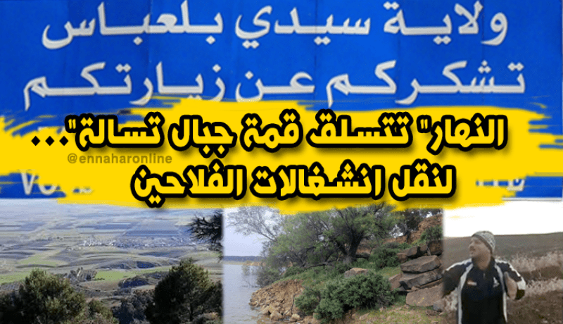 قناة “النهار” ترافق الفلاحيين بأعلى جبال “تسالة” في سيدي بلعباس