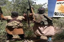 الإرهابيون ذبحوا 5 رؤوس ماعز ثم اجهزوا على الطفل و صوروا عملية الاغتيال بالفيديو