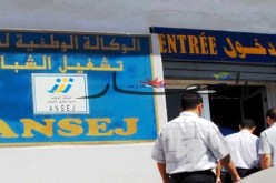 أزيد من 20300 منصب شغل ضمن جهاز المساعدة على الإدماج المهني خلال 2011 بمستغانم