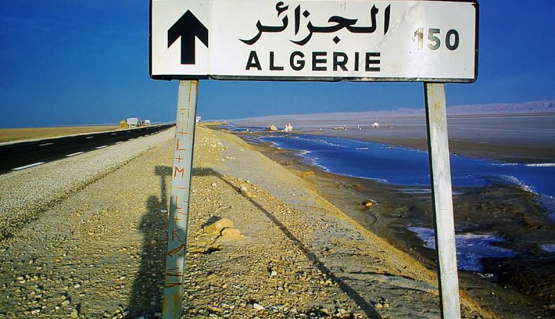 الجزائر تتلقى 8 مقترحات لبناء محطات توليد الطاقة الكهروضوئية