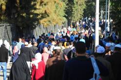 بالصور..حشود جماهيرية زارت “سيلا22” الخميس