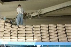 سبعة إطارات وأمين صندوق البنك الخارجي وراء اختلاس 800 مليون من مجمع الإسمنت