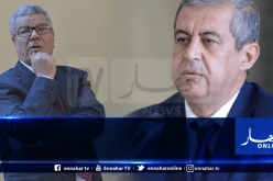 رابحي: “تصريحات البعض حول الصحراء الغربية لا تساوي ذرة.. وما قاله سعيداني يخصه وحده”