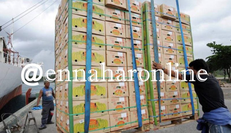 وزارة: قرار دخول المواد المحظورة سيعلن عنه في الأيام المقبلة