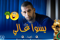 ليستر سيتي يحدد سعر سليماني