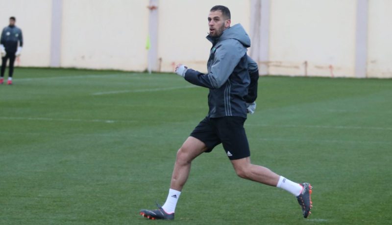 جاهزية “سليماني” تريح جماهير “نيوكاسل”