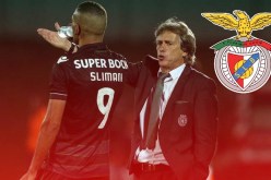 مُفاجأة مدوية.. “سليماني” أولوية “بنفيكا” ويصدم “سبورتينغ لشبونة” !