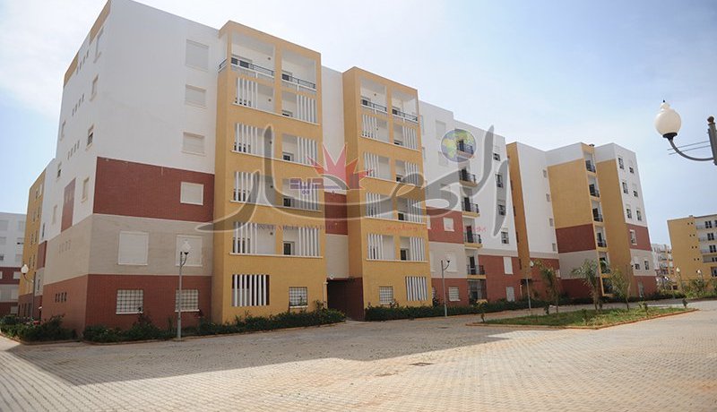 20 ألف عائلة مقصية من «السوسيال» تعود إلى مسقط رأسها