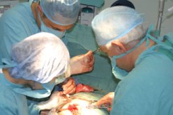 الدعوة إلى وضع مخطط وطني لزرع الأعضاء