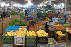 نحو إنجاز 6 أسواق للجملة تزود أكثر من 30 ولاية