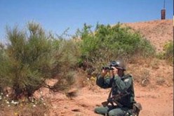 القضاء على إرهابي وتوقيف آخر في البويرة