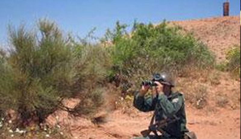 القضاء على إرهابي وتوقيف آخر في البويرة