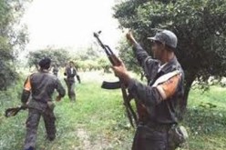 القضاء على إرهابي وإصابة آخر واسترجاع “كلاشنيكوف” وذخيرة في البرج