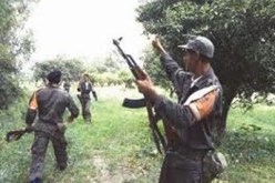 القضاء على إرهابي بتادمايت بولاية  تيزي وزو