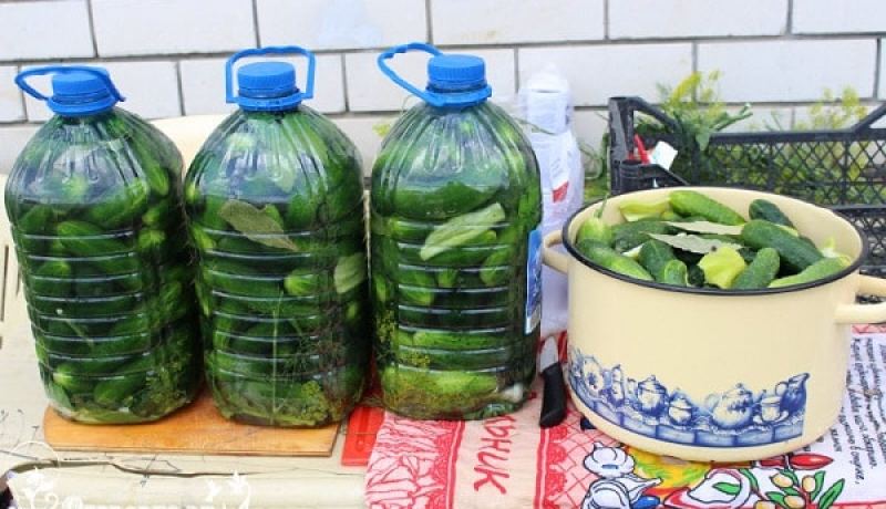 حماية المستهلك: الخضر المخللة في العبوات البلاستيكية يمكن أن تحتوي على مواد مسرطنة