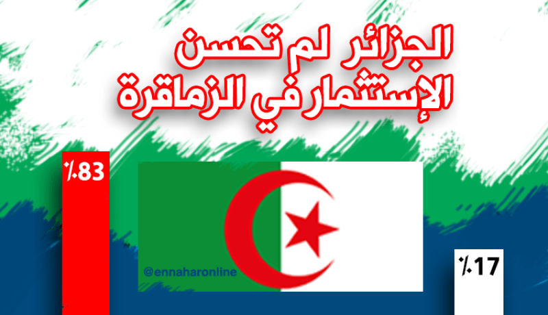 هل أحسنت الجزائر الإستثمار في أبناء الجالية والكفاءات المهاجرة.. هكذا رد الجزائريين عبر موقع النهار